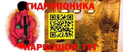мяу мяу мука Кулебаки