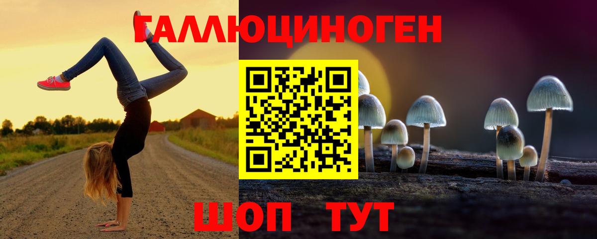 Псилоцибиновые грибы MAGIC MUSHROOMS  Псилоцибиновые грибы Cubensis  Вход с VPN  Каменск-Шахтинский 